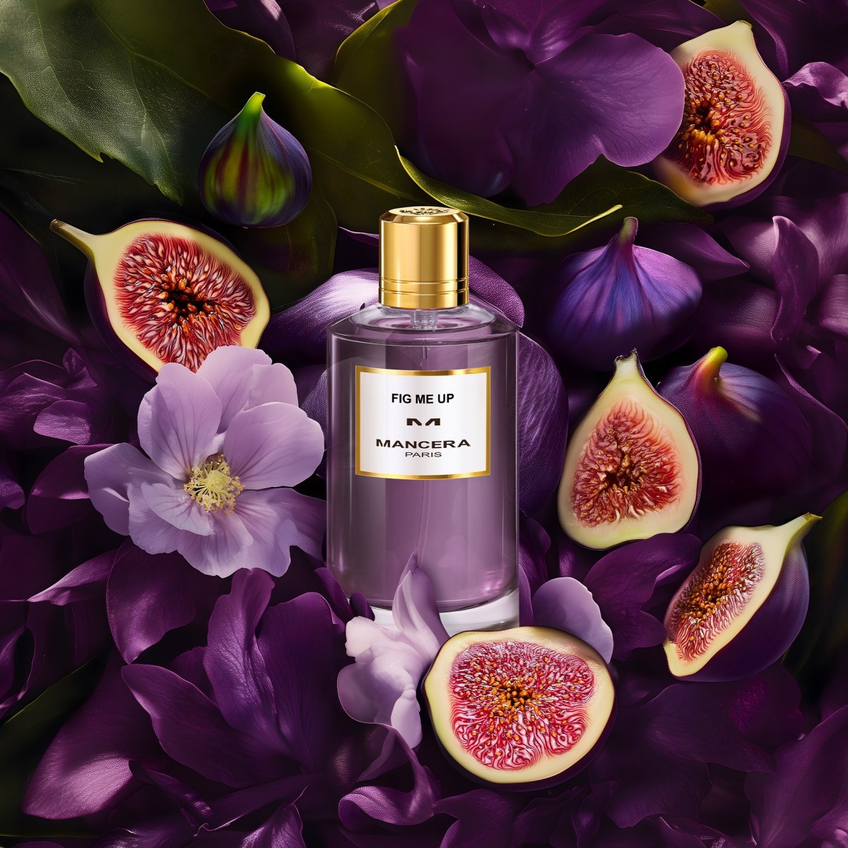 Fig Me Up