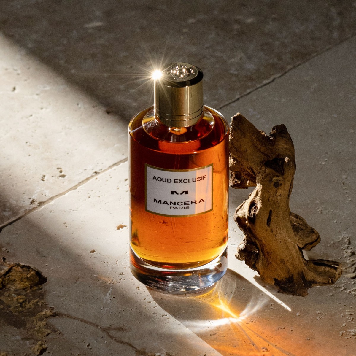 Aoud Exclusif