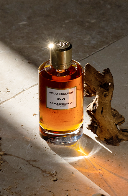Aoud Exclusif