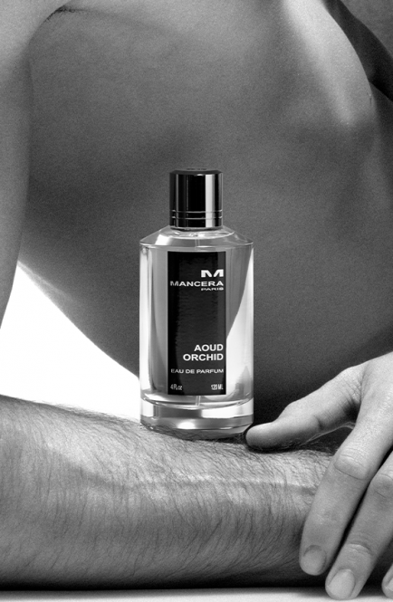 Aoud Orchid